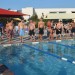 The beer dive for adults is about to begin.