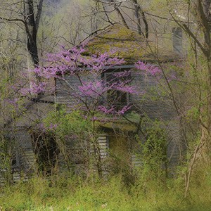 Abbie Korman - Photographer Abbie Korman - Photographer
